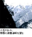 春の写真1