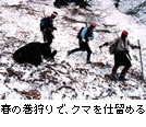 春の写真2